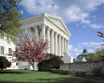 The United States Supreme Court with a cherry blossom tree in the foreground