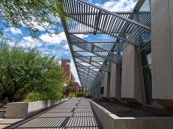 University of Arizona Law Courtyard
