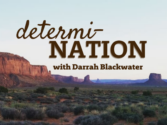 Determi-Nation Podcast Artwork