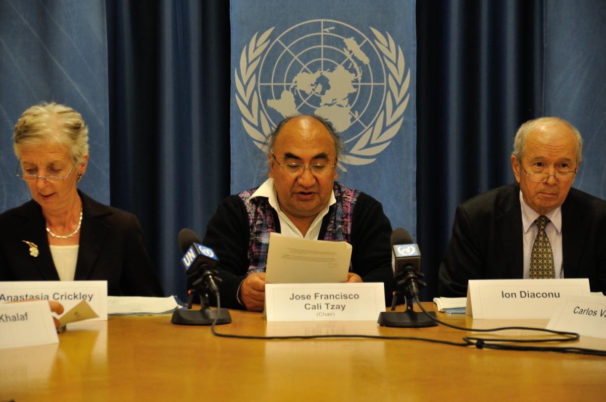 United Nations Special Rapporteur on the Rights of Indigenous Peoples