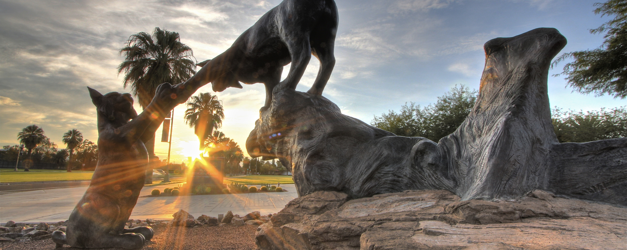 Statue of two wildcats touching paws on the University of Arizona campus