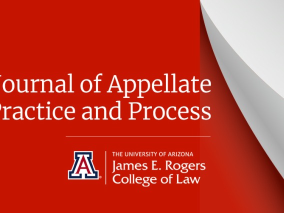 The words "Journal of Appellate Practice and Process" written in white over a red background.