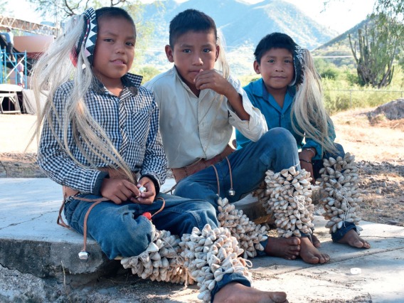 Three young indigenous boys