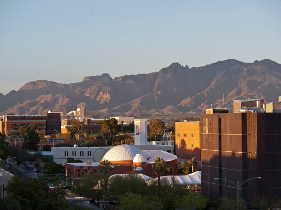 University of Arizona 