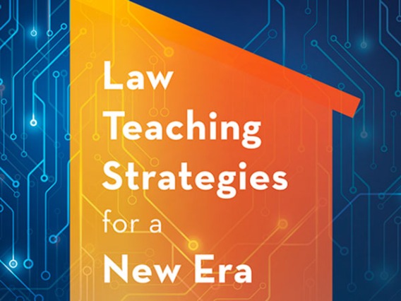 Law Teaching Strategies for a New Era book cover