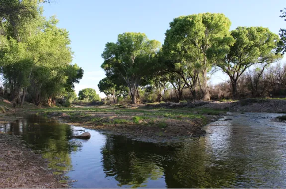 River