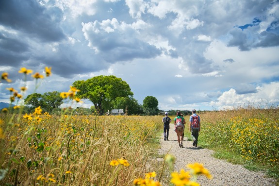 Students walking through a field of wildflowers