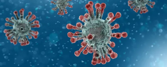 coronavirus molecules coronavirus molecules