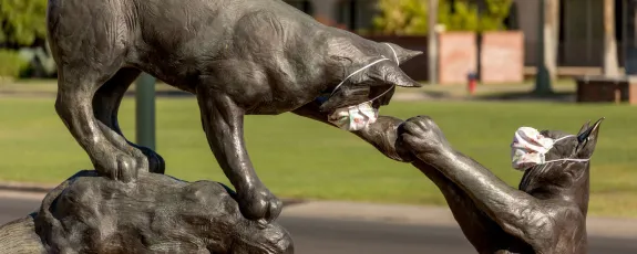 Wildcat statue with face masks