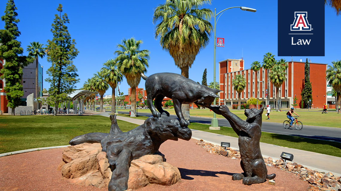 University of Arizona Wildcats Statue 