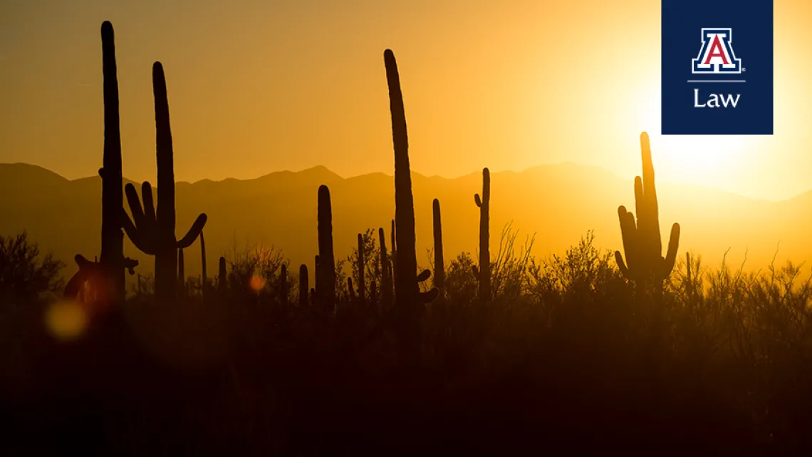 Desert Sunset